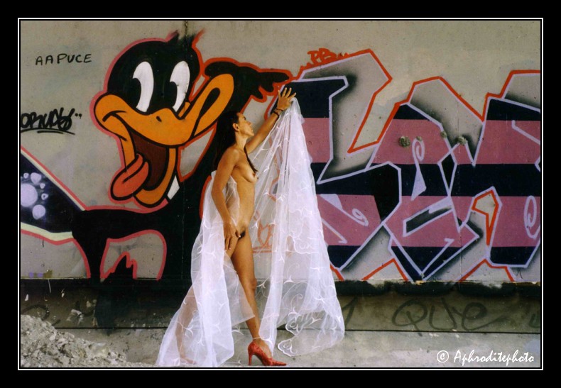 Le  joyeux canard 3